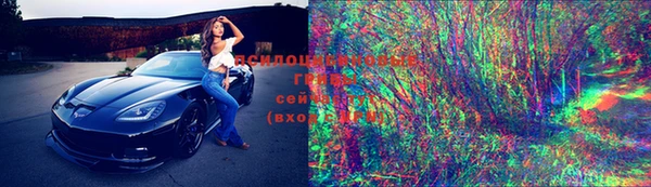 тгк Инсар