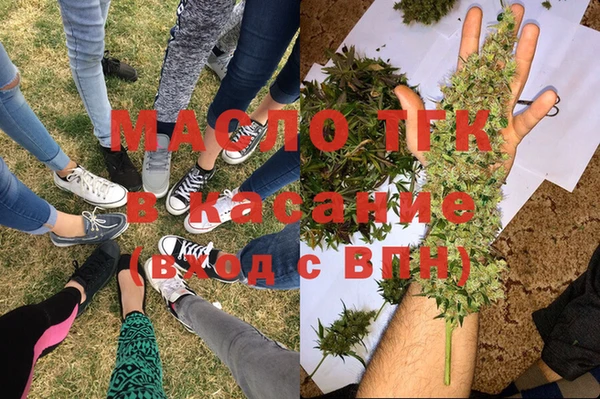 крисы Аркадак