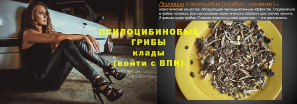 бошки Арсеньев